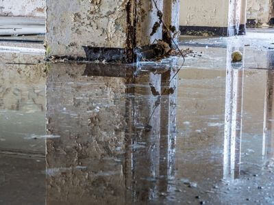 About Blokara Pulse - water damage restoration experts in Lynwood